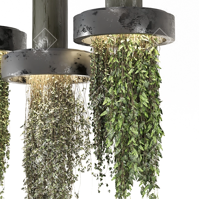  Indoor Hanging Plants Collection 3D model image 3