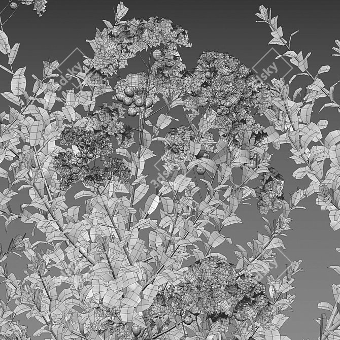 3D Crepe Myrtle Plant Collection 3D model image 4