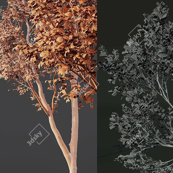 Spring Tree 3D Model Bundle 3D model image 7