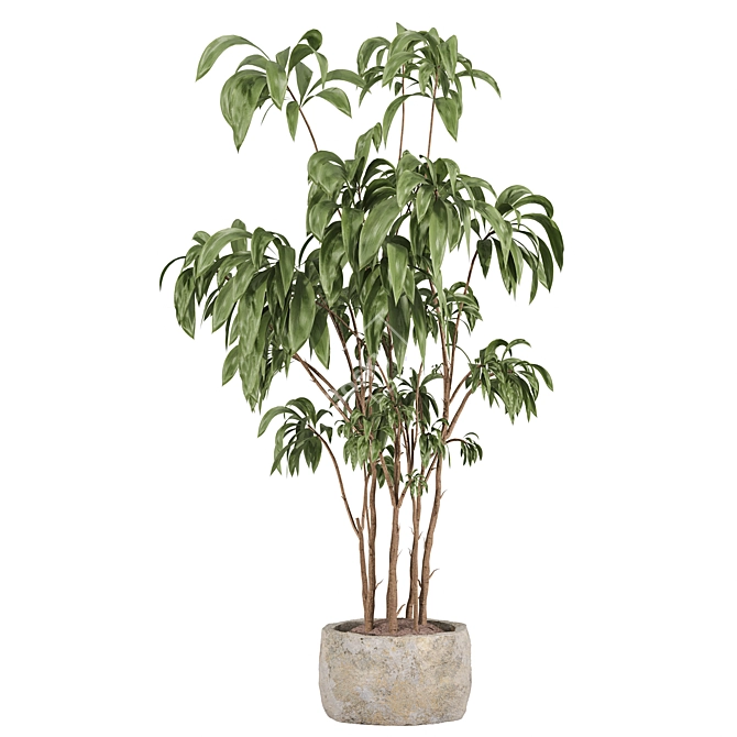 Modern Indoor Plant Set 059 3D model image 1