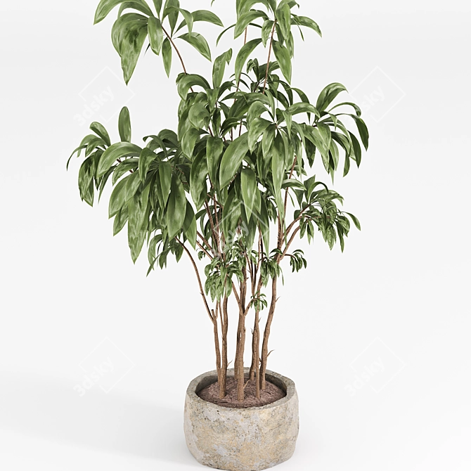 Modern Indoor Plant Set 059 3D model image 4