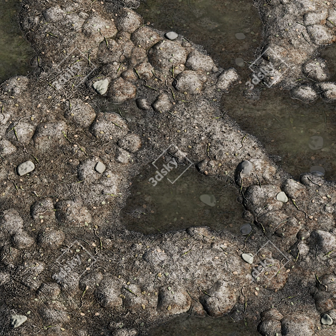 Stone Earth with Puddles Texture 3D model image 1