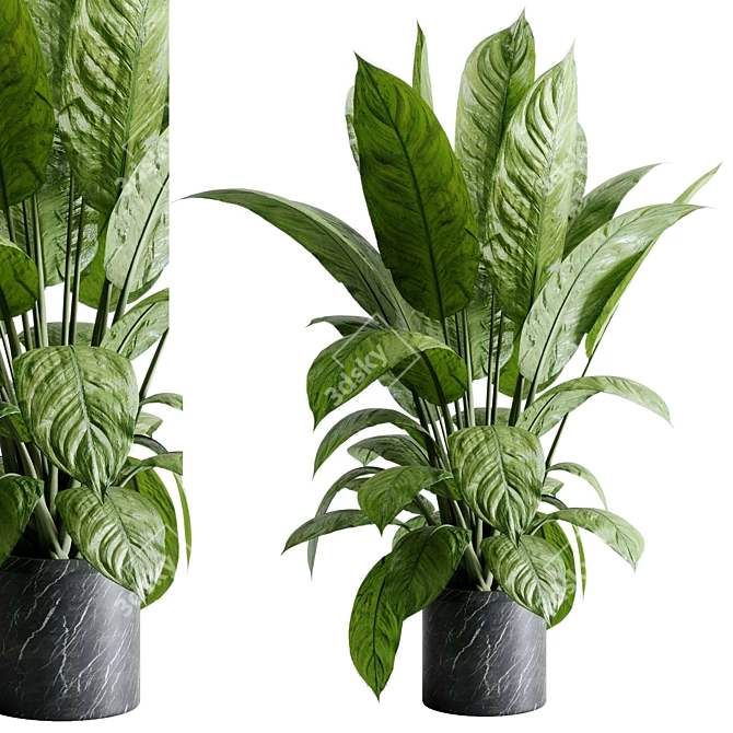 Marble Vase Dieffenbachia Maculata Set 3D model image 1