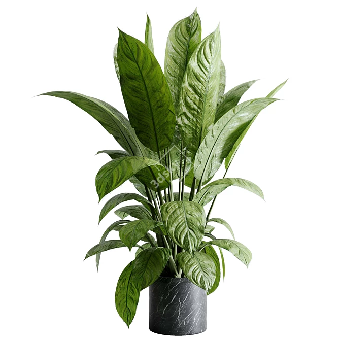 Marble Vase Dieffenbachia Maculata Set 3D model image 2