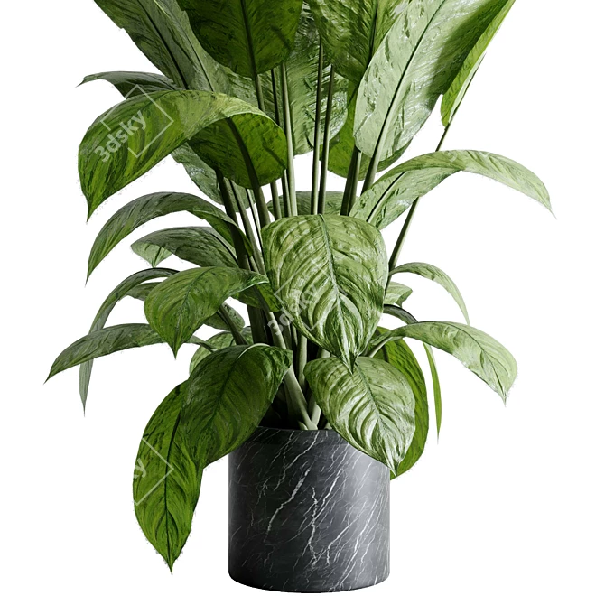 Marble Vase Dieffenbachia Maculata Set 3D model image 4