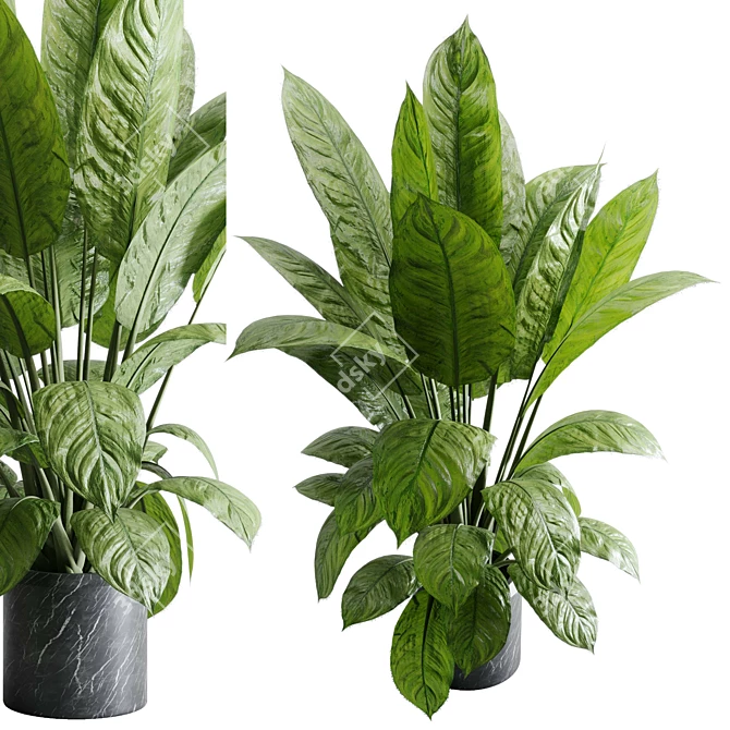 Marble Vase Dieffenbachia Maculata Set 3D model image 5