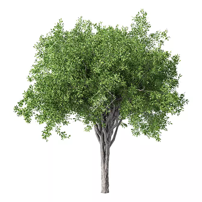 Nature's No.125 Haven 3D model image 1