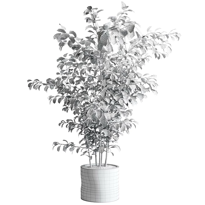 Concrete Vase Tree Indoor Set 3D model image 7