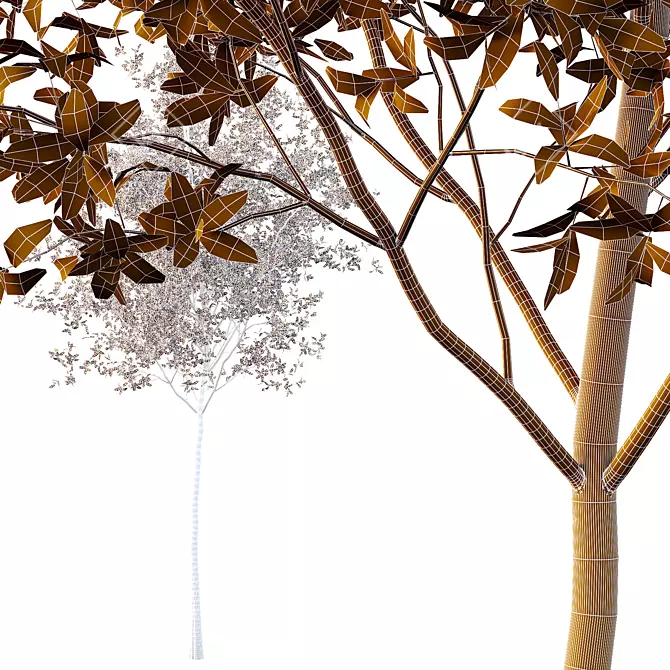 European Ash Tree Premium 3D Model 3D model image 7