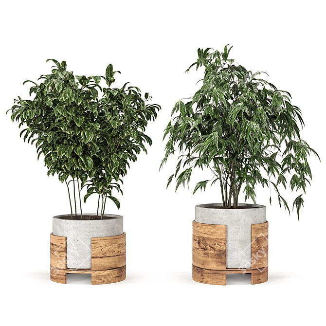 High-Quality Plant Set Model 3D model image 1