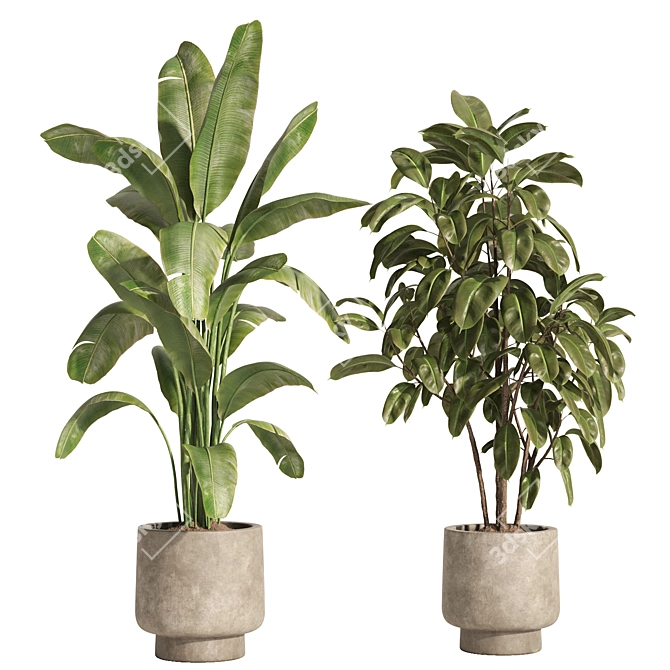 Modern Indoor Plant Set 81 3D model image 2