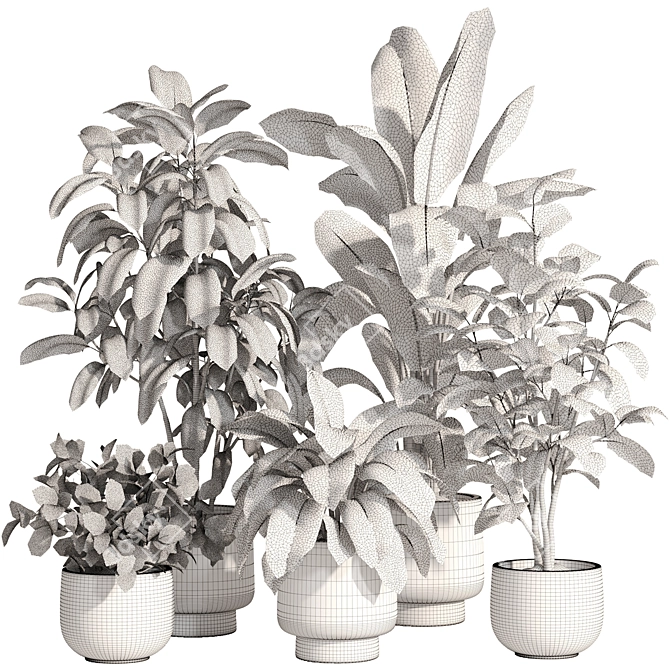 Modern Indoor Plant Set 81 3D model image 3