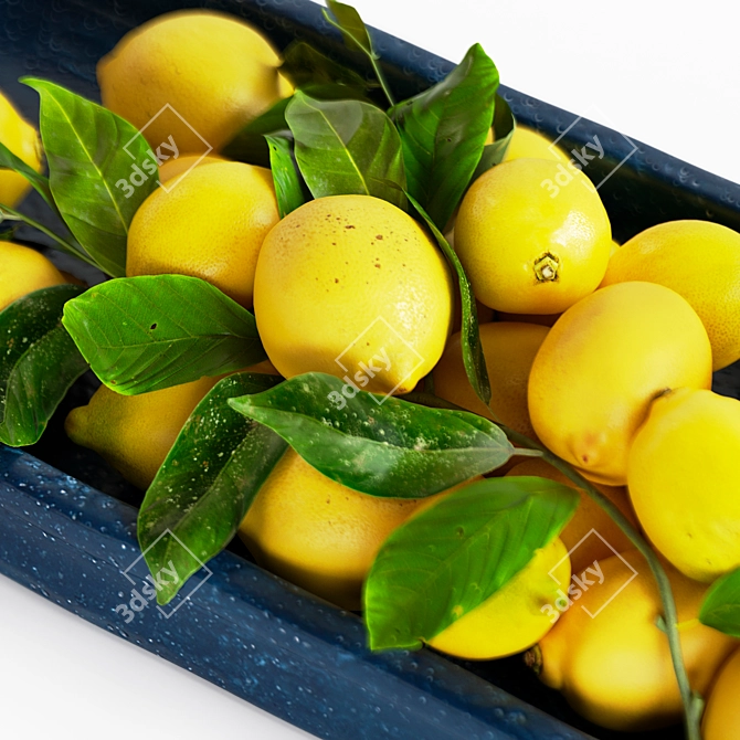 Title: Lemon Tray for Corona Render 3D model image 3