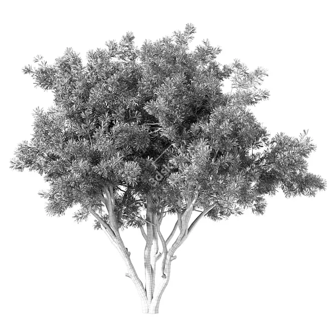 Whispering Pine Tree Sculpture 3D model image 4