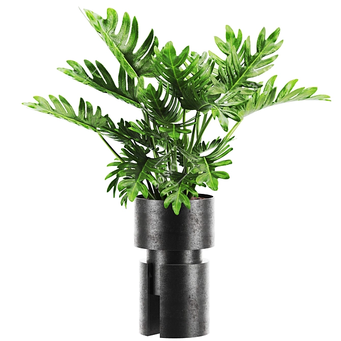 Premium Plant Collection 3D Models 3D model image 1