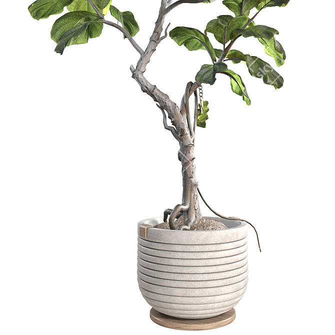 3D Max Plant Furnishings Collection 3D model image 6