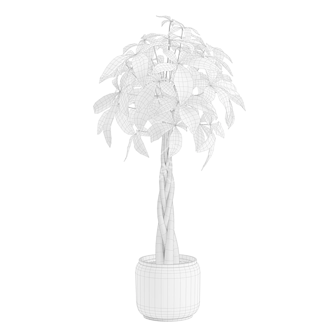 Money Tree in Elegant Planter 3D model image 3