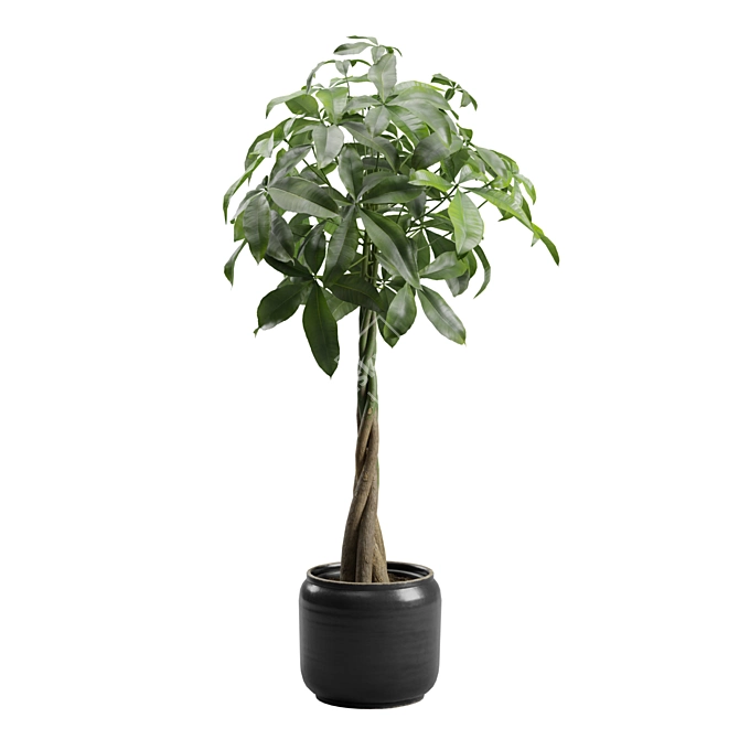 Money Tree in Elegant Planter 3D model image 7