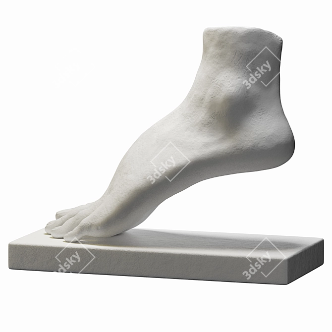 Contemporary Foot Sculpture Art Piece 3D model image 2