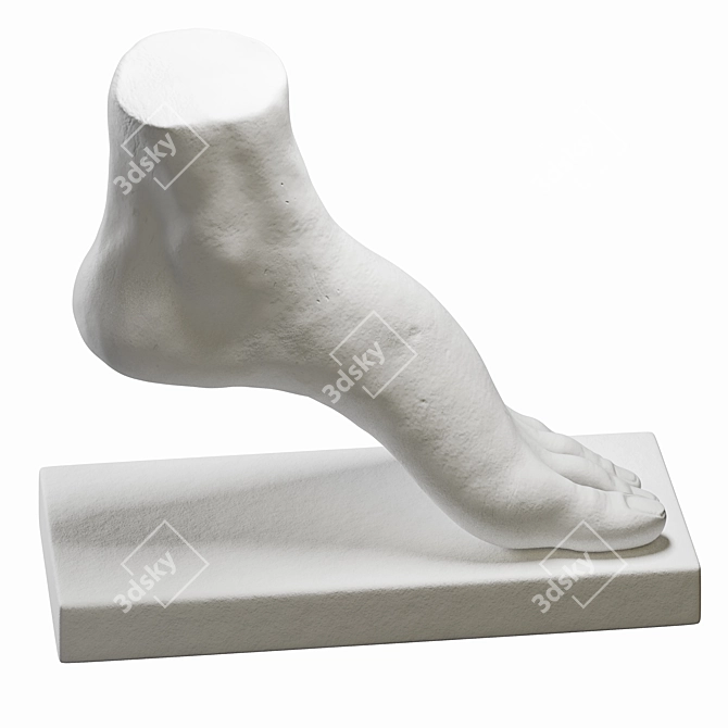 Contemporary Foot Sculpture Art Piece 3D model image 4