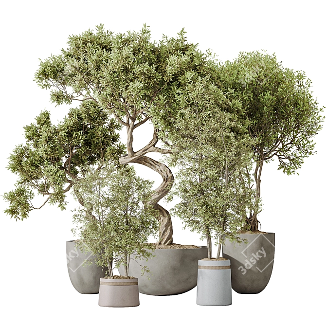 Modern Indoor Olive Tree Set 3D model image 1