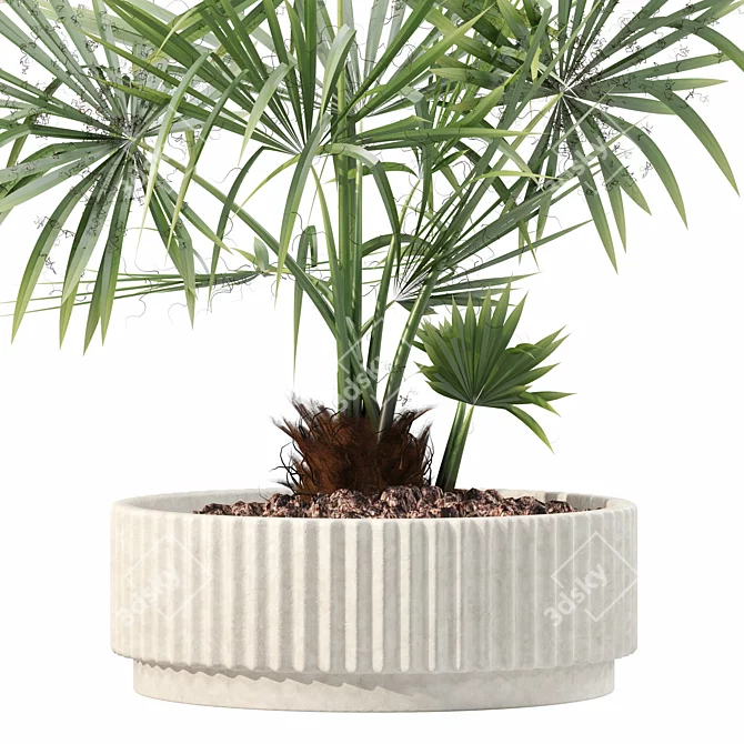 Rattan Pot Plant Collection 218 3D model image 6