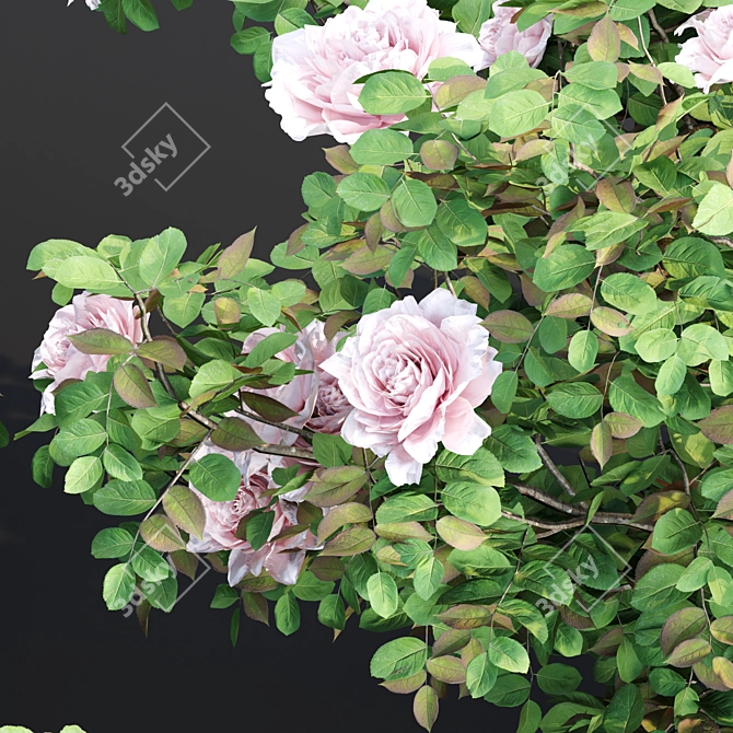 Vol 74 Rose Bush Collection 3D model image 5