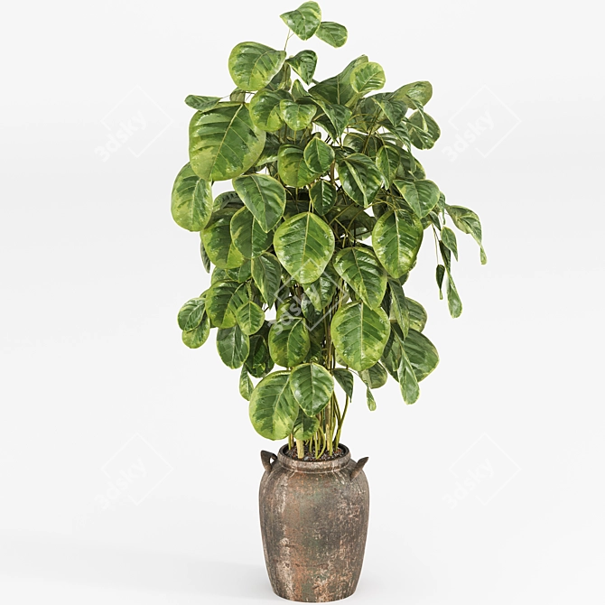 Pothos Plant Wrapped Wooden Branches 3D model image 3