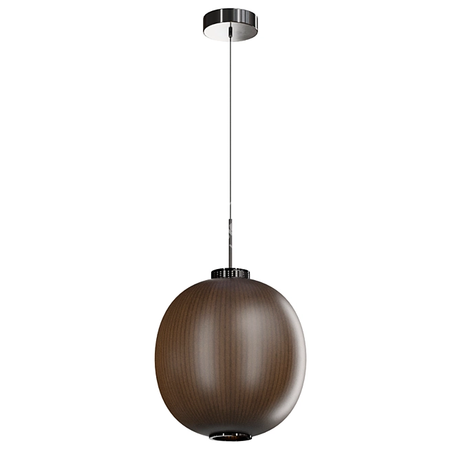 Modern Pendant Light Model 3D model image 3