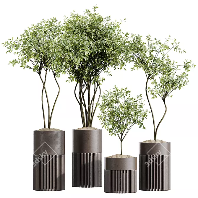 Mediterranean Olive Tree Houseplant Set 3D model image 1