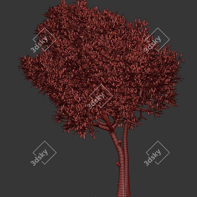  Modern Olive Tree Vray 3D 3D model image 4