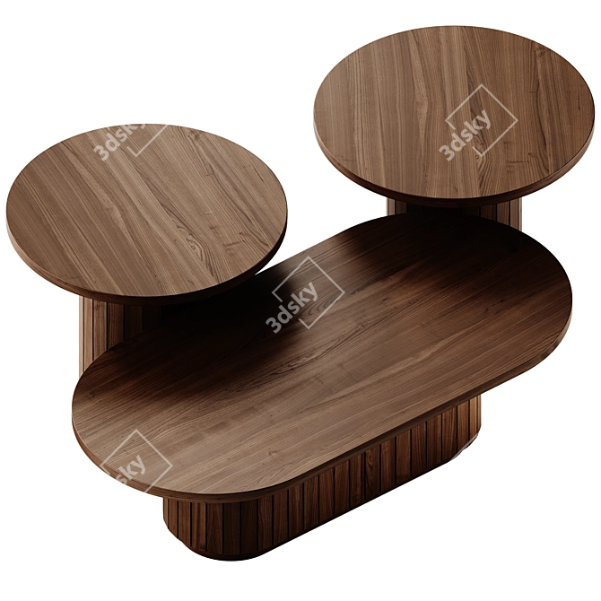 Licia Coffee & Side Tables Set 3D model image 4