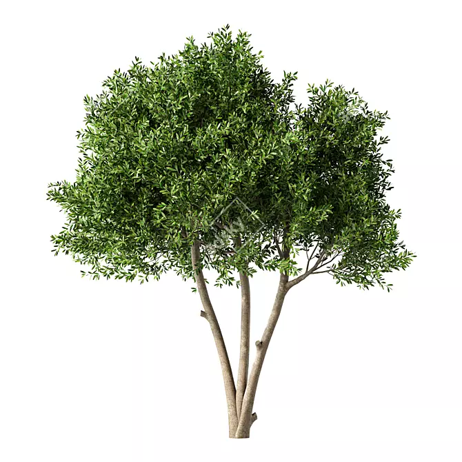 Modern Tree Sculpture Art Piece 3D model image 1