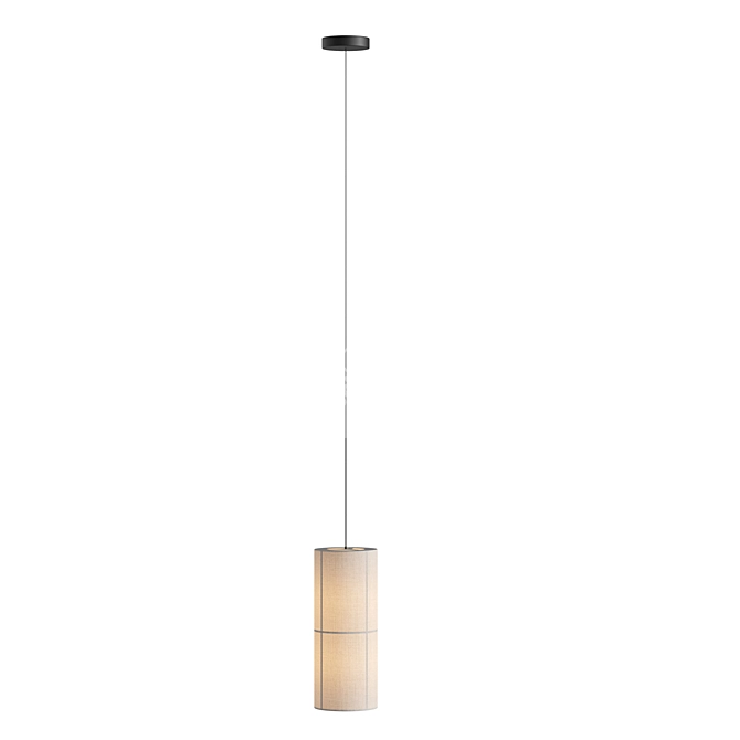 Modern Minimalist Pendant Lamp - 3Ds Max Model 3D model image 3