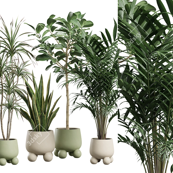 Exotic Indoor Plants Collection Bundle 3D model image 2