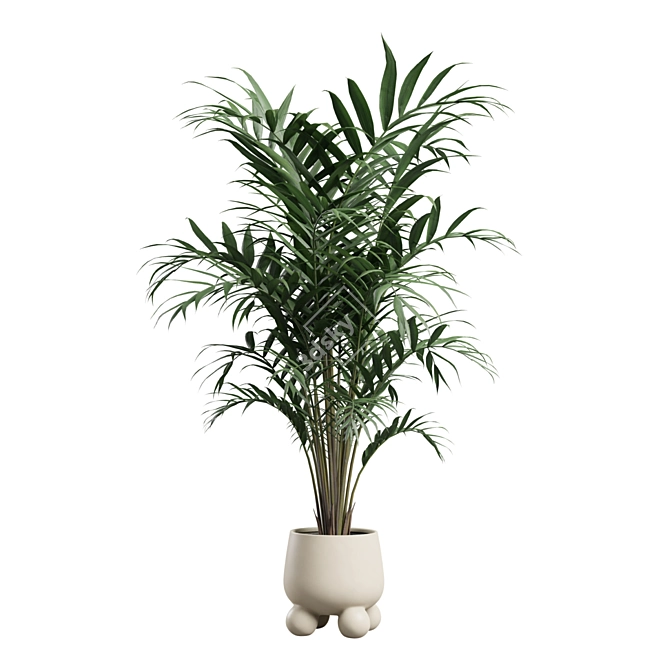 Exotic Indoor Plants Collection Bundle 3D model image 5