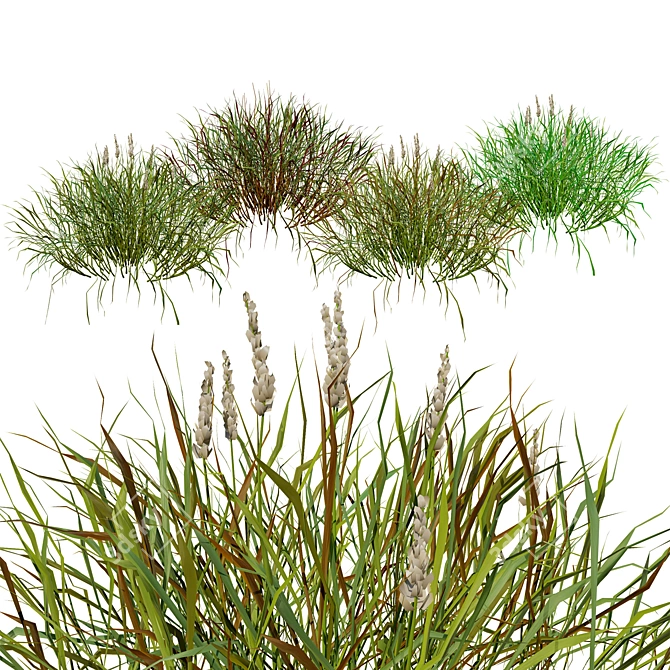 Realistic 3D Grass Model: Versatile Texture 3D model image 2