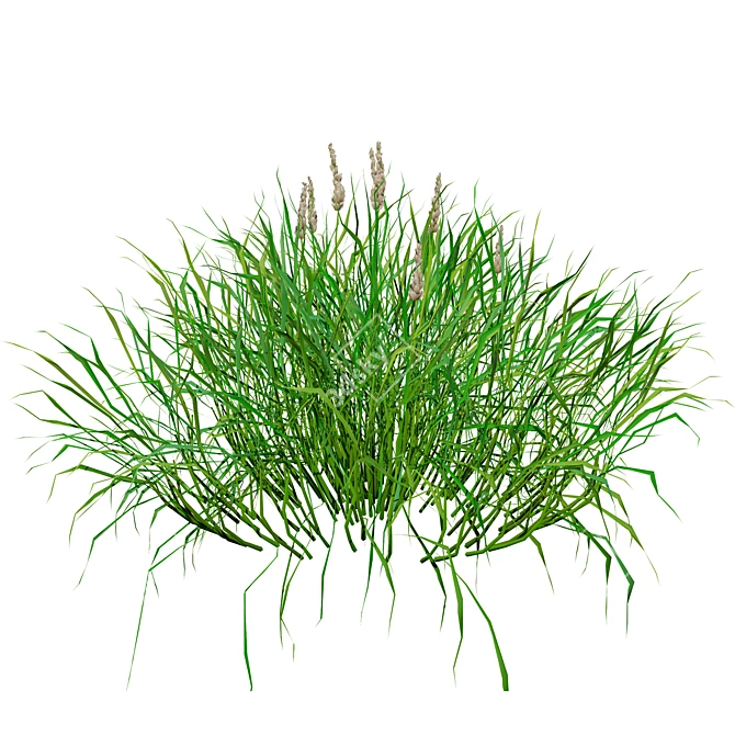 Realistic 3D Grass Model: Versatile Texture 3D model image 5