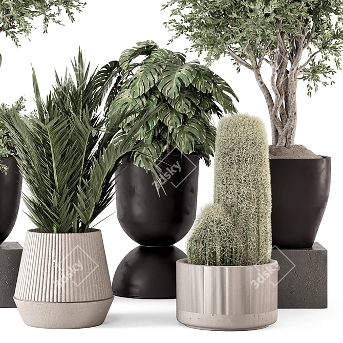 Rusty Concrete Pot Indoor Plants 3D model image 2