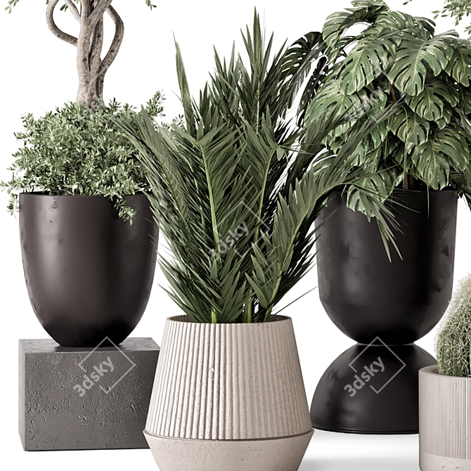 Rusty Concrete Pot Indoor Plants 3D model image 5