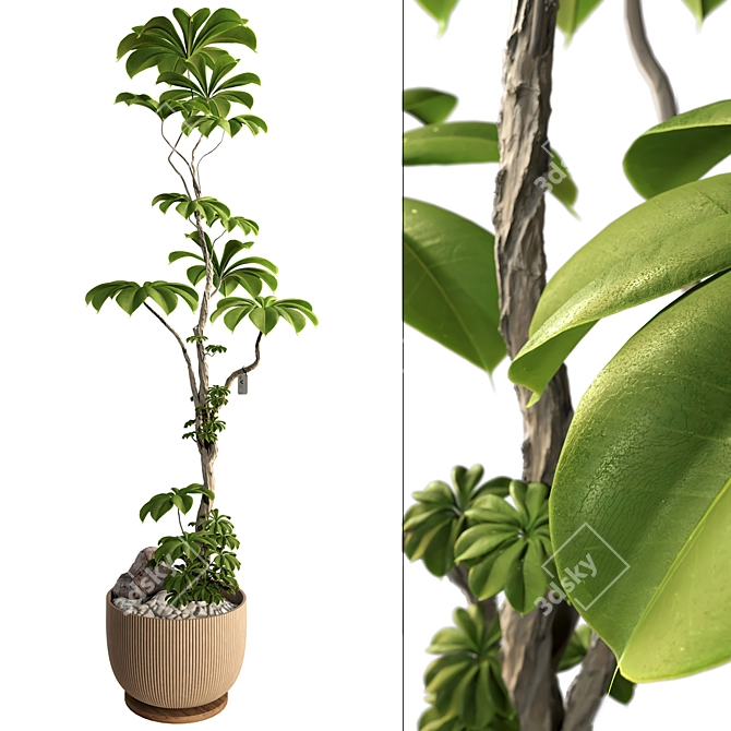 3D Tree Plant Model Collection 3D model image 1