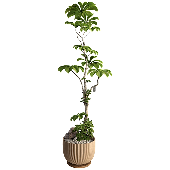 3D Tree Plant Model Collection 3D model image 2