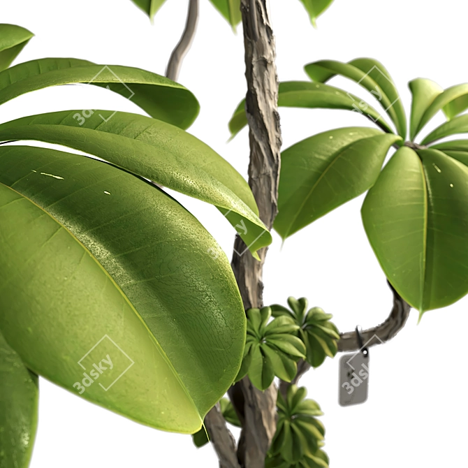 3D Tree Plant Model Collection 3D model image 3