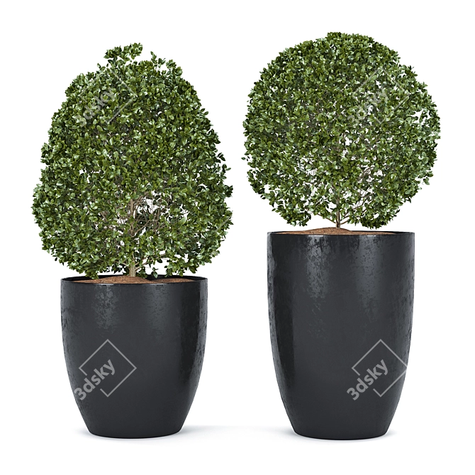  Detailed Plant Set for Rendering 3D model image 1