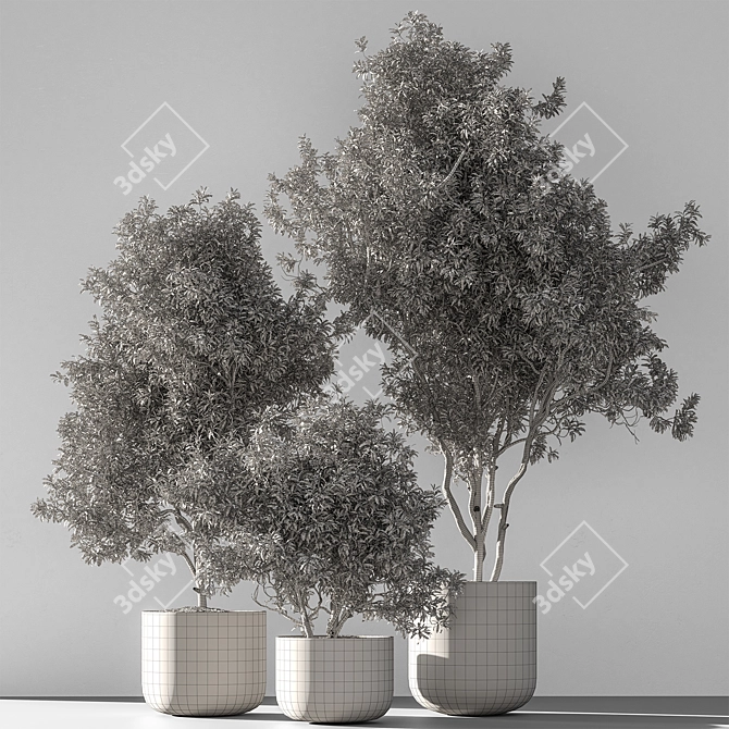 790 Olive Indoor Plant 3D model image 6