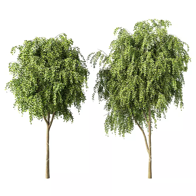 Forest Series Tree Sculpture Display 3D model image 1