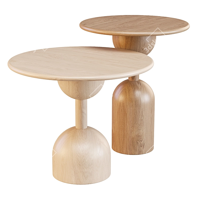 Baoba Coffee Side Tables Set 3D model image 1