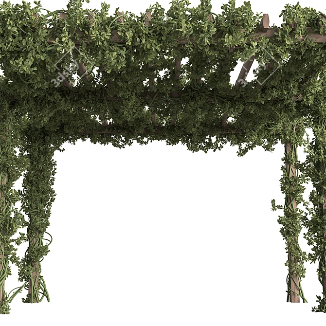 Garden Pergola and Plant Set 3D model image 2