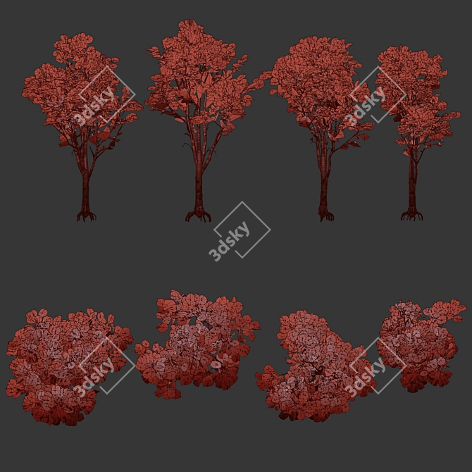 Realistic Oak Trees Model Vol.2 3D model image 4