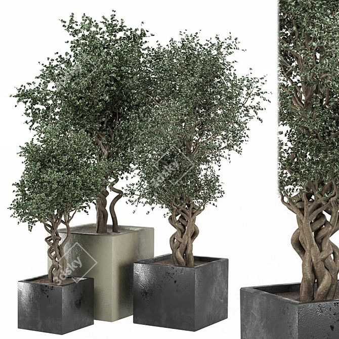  3D Outdoor Plants Set 3D model image 1